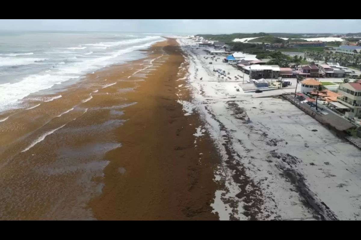 Praia de Atalaia é fechada temporariamente para remoção de sargaço
