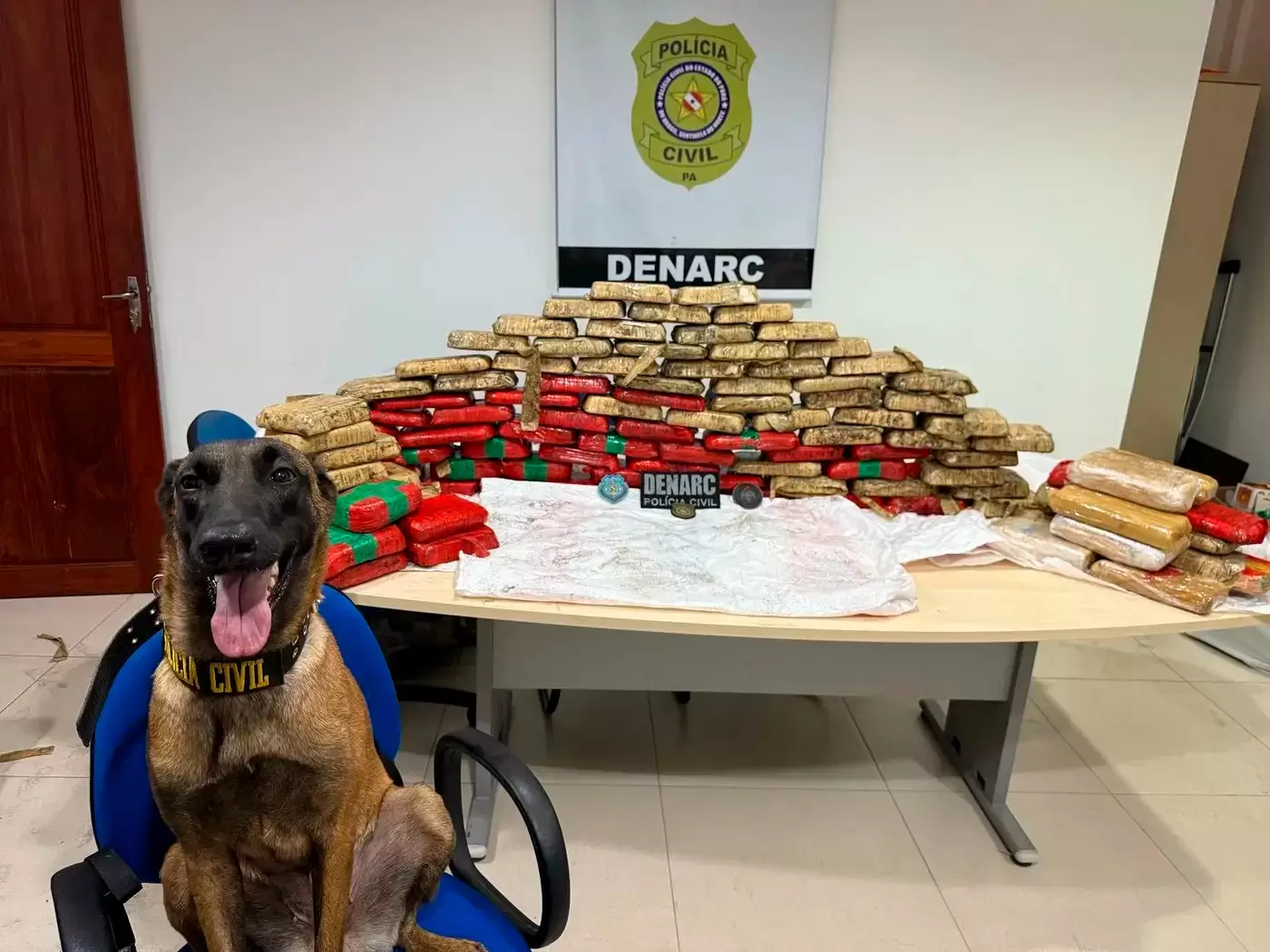 Divisão de Narcóticos da Polícia Civil apreende 180 kg de entorpecentes em Cametá
